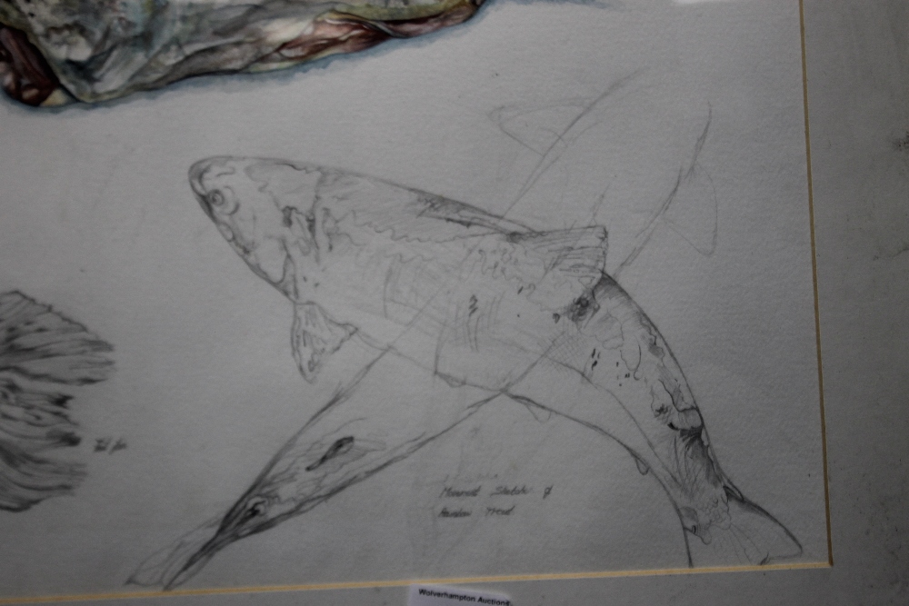 A MOVEMENT SKETCH OF A RAINBOW TROUT - Image 2 of 3