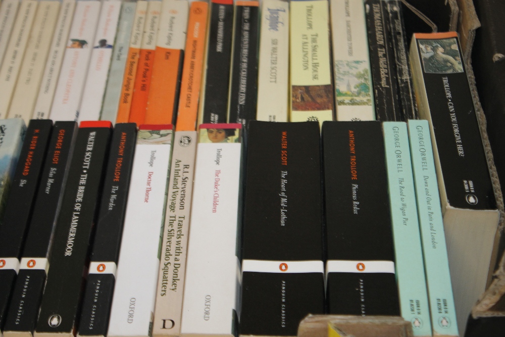 A TRAY AND A HALF OF PAPERBACK CLASSIC NOVELS - Image 3 of 4