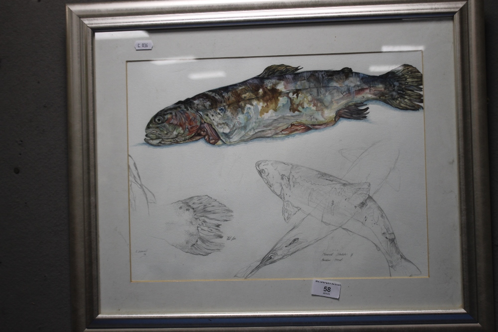 A MOVEMENT SKETCH OF A RAINBOW TROUT