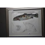 A MOVEMENT SKETCH OF A RAINBOW TROUT