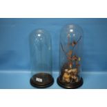 TWO GLASS DOMES, ONE WITH DRIED FOLIAGE, APPROX HEIGHTS 40 CM AND 36 CM