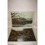 TWO FRAMED OIL ON BOARDS DEPICTING WOODED RIVER LANDSCAPES