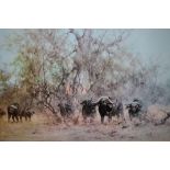 A LARGE GILT FRAMED AND GLAZED SIGNED DAVID SHEPHERD PRINT DEPICTING BUFFALO ENTITLED 'IN THE