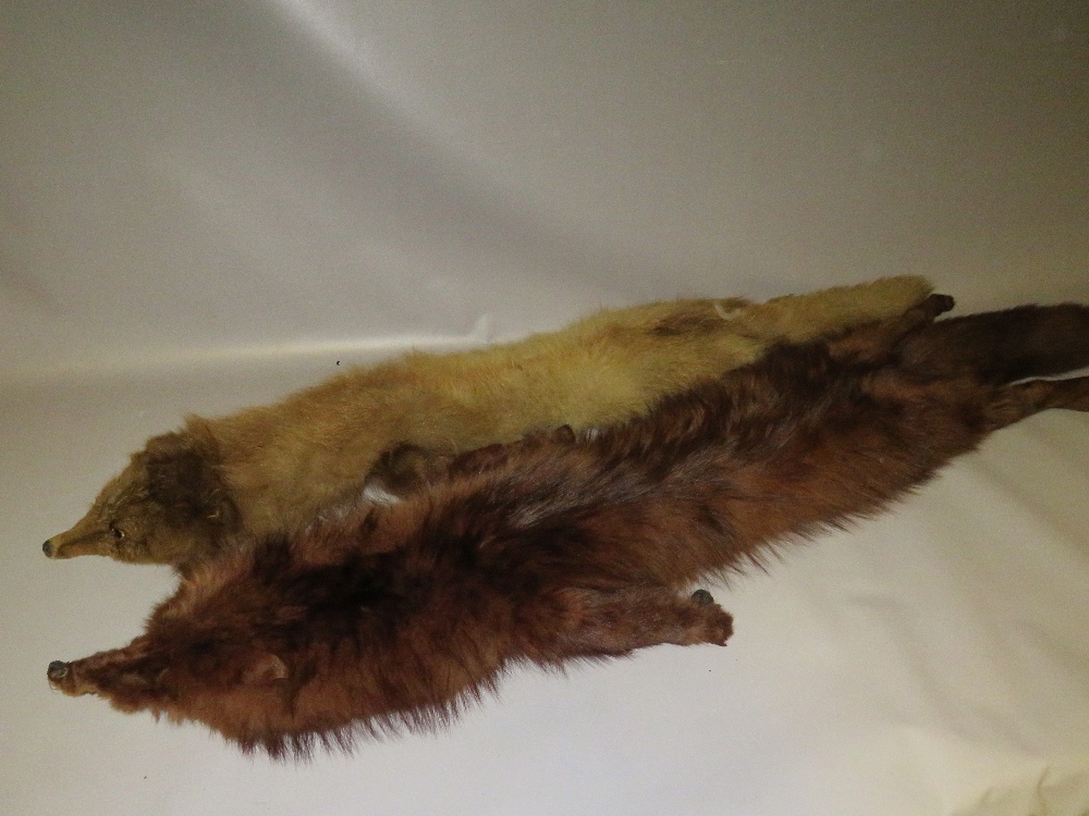 FOUR VINTAGE FOX FUR STOLES - Image 5 of 6