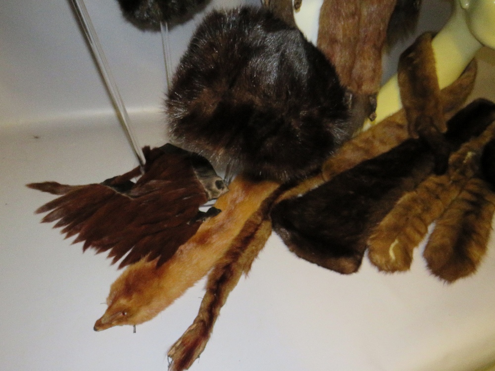 A COLLECTION OF VINTAGE MINK FUR ACCESSORIES COMPRISING HATS, STOLES AND COLLARS ETC (13) - Image 2 of 6