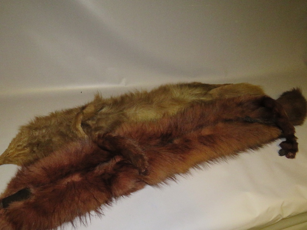 FOUR VINTAGE FOX FUR STOLES - Image 6 of 6