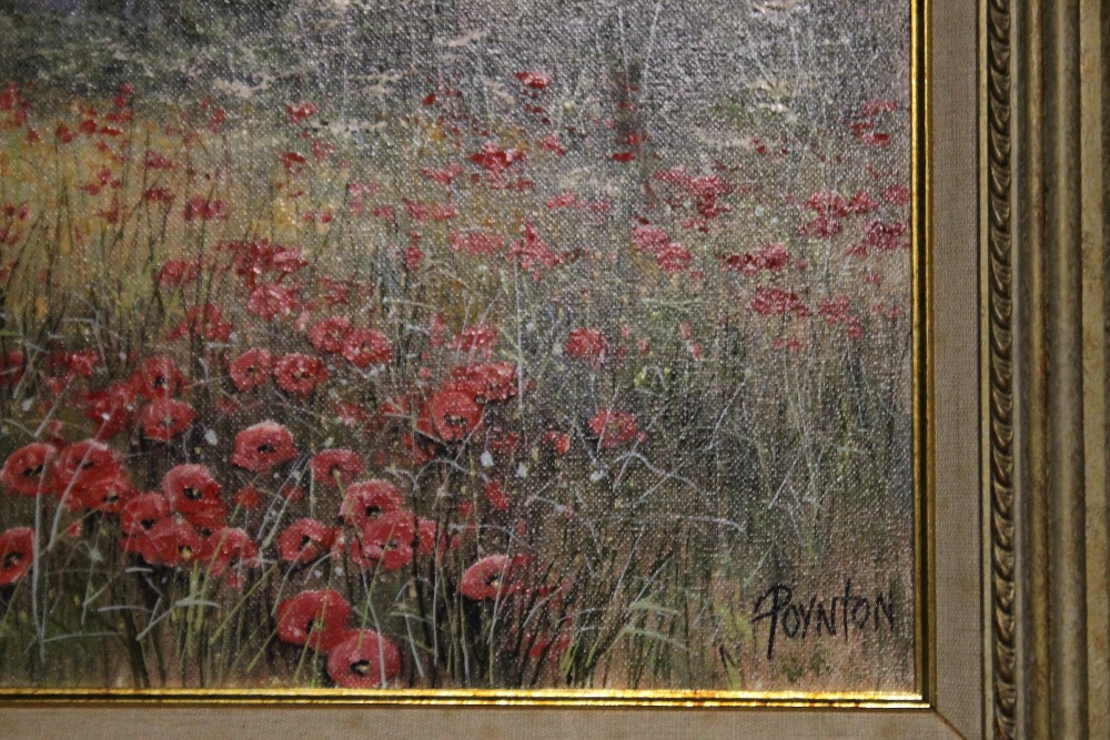 TWO FRAMED OIL ON CANVAS PAINTINGS DEPICTING POPPIES SIGNED POYNTON (DEBORAH POYNTON) - Image 5 of 5