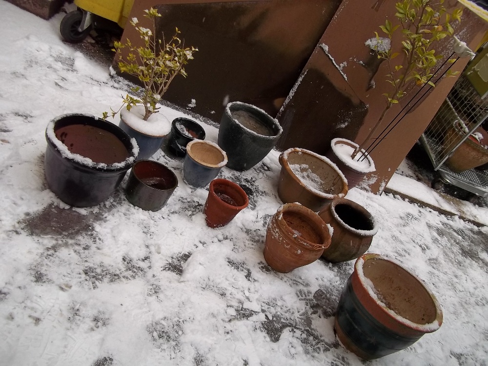 A SELECTION OF PLANTERS TO INCLUDE TERRACOTTA AND CONCRETE