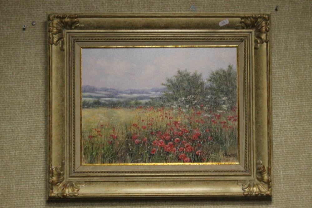 TWO FRAMED OIL ON CANVAS PAINTINGS DEPICTING POPPIES SIGNED POYNTON (DEBORAH POYNTON) - Image 2 of 5