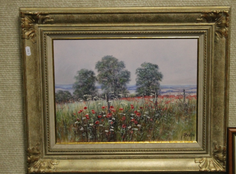 TWO FRAMED OIL ON CANVAS PAINTINGS DEPICTING POPPIES SIGNED POYNTON (DEBORAH POYNTON) - Image 3 of 5