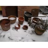A SELECTION OF TERRACOTTA AND CONCRETE PLANTERS