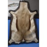 A SPRINGBOK PELT