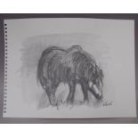 CIRCLE OF JOHN KYFFIN WILLIAMS (1918-2006). Study of a pony, bears initials lower right, pencil on