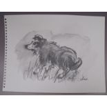 CIRCLE OF JOHN KYFFIN WILLIAMS (1918-2006). Study of a dog, bears initials lower right, pencil on