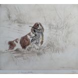 GEORGE VERNON STOKES (1873-1954) study of a springer spaniel fetching a game bird from the lake,