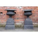 A PAIR OF ANTIQUE CAST URNS ON PLINTHS, of typical form, urn H 44 cm, Dia. 47 cm, overall H 79 cm (