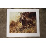 AN ORIGINAL SIGNED LIMITED EDITION MICK CAWSTON PRINT ENTITLED THE FIELD SPANIEL 497/500 - UNFRAMED