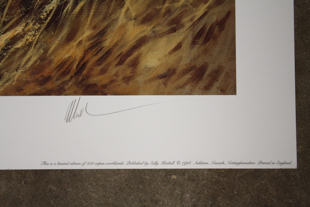 AN ORIGINAL SIGNED LIMITED EDITION MICK CAWSTON PRINT ENTITLED THE FIELD SPANIEL 497/500 - UNFRAMED - Image 3 of 4