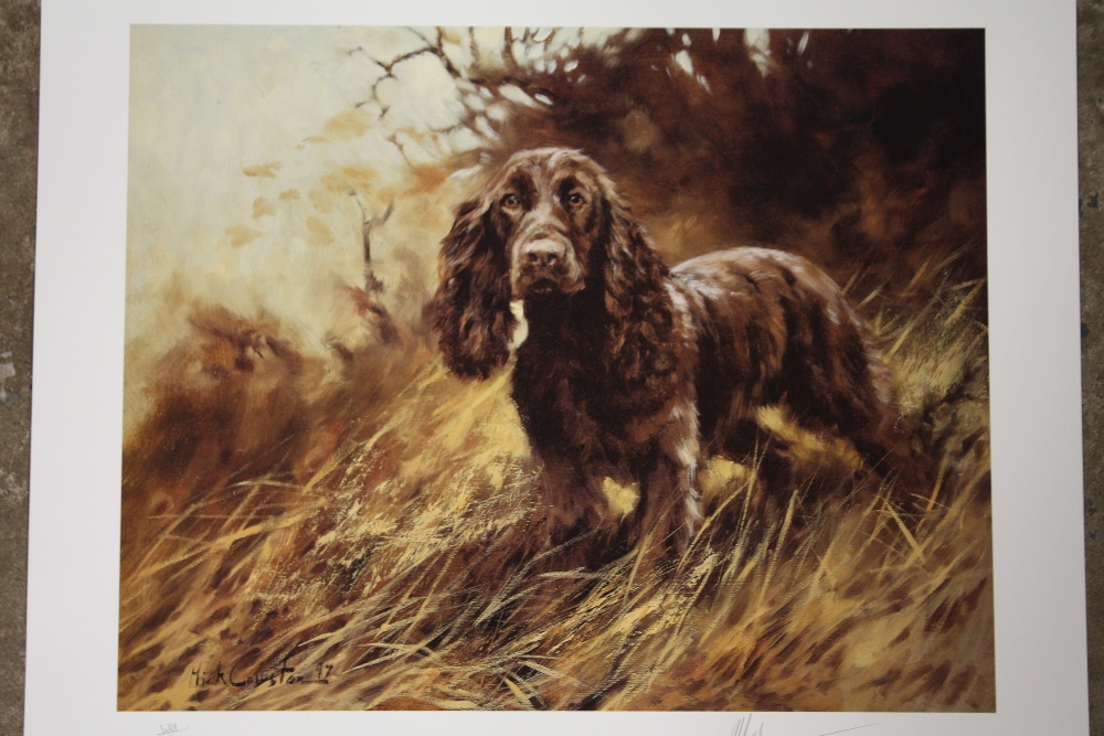 AN ORIGINAL SIGNED LIMITED EDITION MICK CAWSTON PRINT ENTITLED THE FIELD SPANIEL 497/500 - UNFRAMED - Image 2 of 4