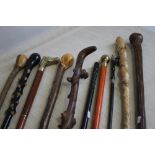 A COLLECTION OF WALKING STICKS, to include hawthorn types