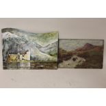 TWO UNFRAMED OIL ON BOARDS TO INCLUDE A MOUNTAINOUS LAKE SCENE SIGNED JUNE FOX
