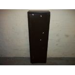 A STEEL GUN SAFE CABINET