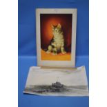 W. G. WHITAKER - A WATERCOLOUR OF A SEATED KITTEN carries the Elgin Studios stamp to back signed