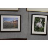 TWO MODERN FRAMED AND GLAZED PHOTOGRAPHS OF A SEASCAPE WITH PIER, AND A BIRD. BOTH SIGNED R J