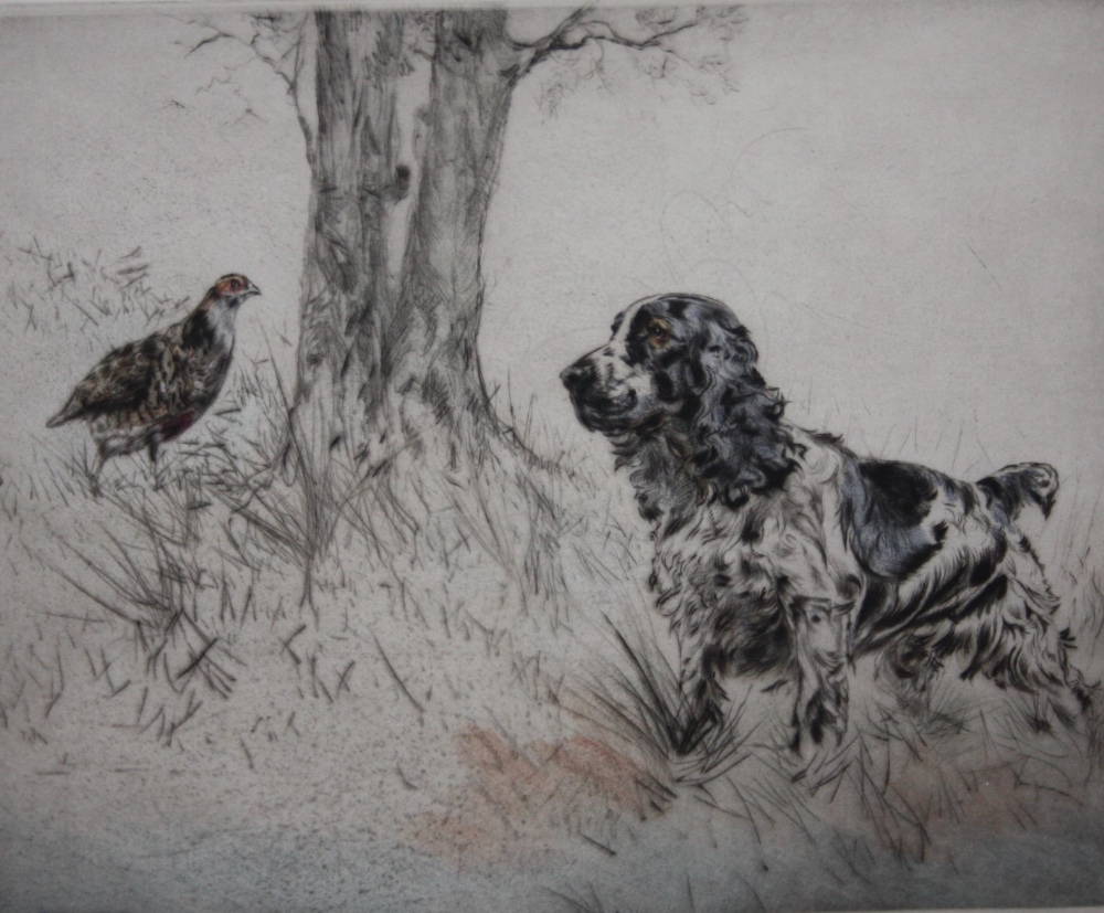 HENRY WILKINSON (1921-2011). Spaniel with game, etching in colours, signed in pencil, No 71/150,