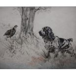HENRY WILKINSON (1921-2011). Spaniel with game, etching in colours, signed in pencil, No 71/150,