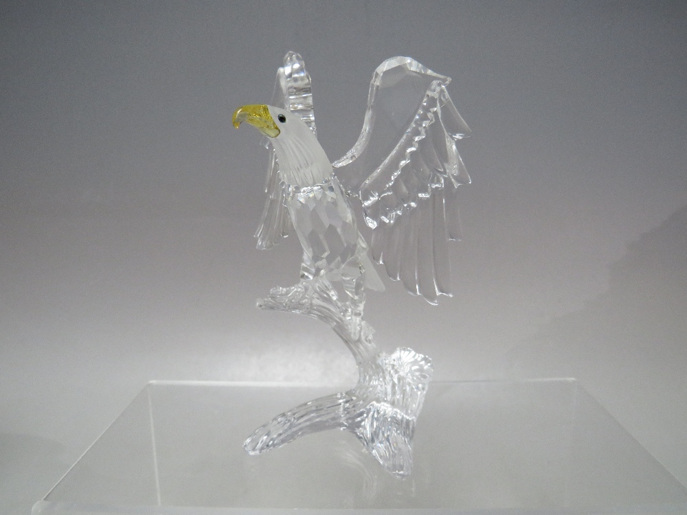 A SWAROVSKI CRYSTAL 'BIRDS OF PREY' BALD EAGLE, with box and certificate, H 12.5 cm