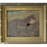 (XIX). Study of a horse in a wooded landscape, unsigned, oil on canvas framed, 39 x 49, A/F