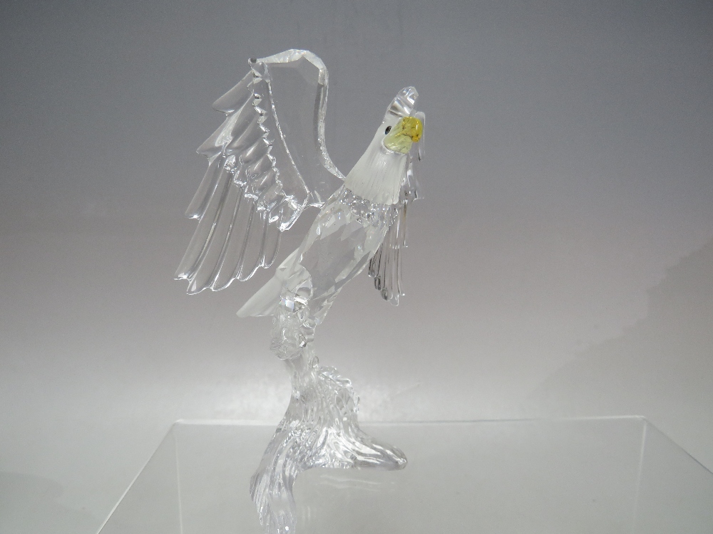 A SWAROVSKI CRYSTAL 'BIRDS OF PREY' BALD EAGLE, with box and certificate, H 12.5 cm - Image 2 of 5