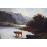 ENGLISH SCHOOL (XX). Study of Highland cattle in a mountain landscape, oil on re-lined canvas,