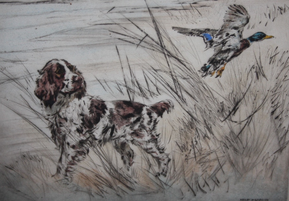 HENRY WILKINSON (1921-2011). Spaniel with duck flying, etching in colours, signed in pencil, No 54/