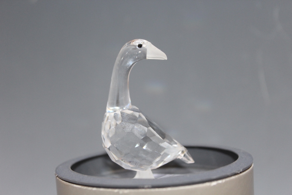 A COLLECTION OF SWAROVSKI CRYSTAL ANIMAL FIGURES, to include a squirrel, a large and a small fish, - Image 4 of 4