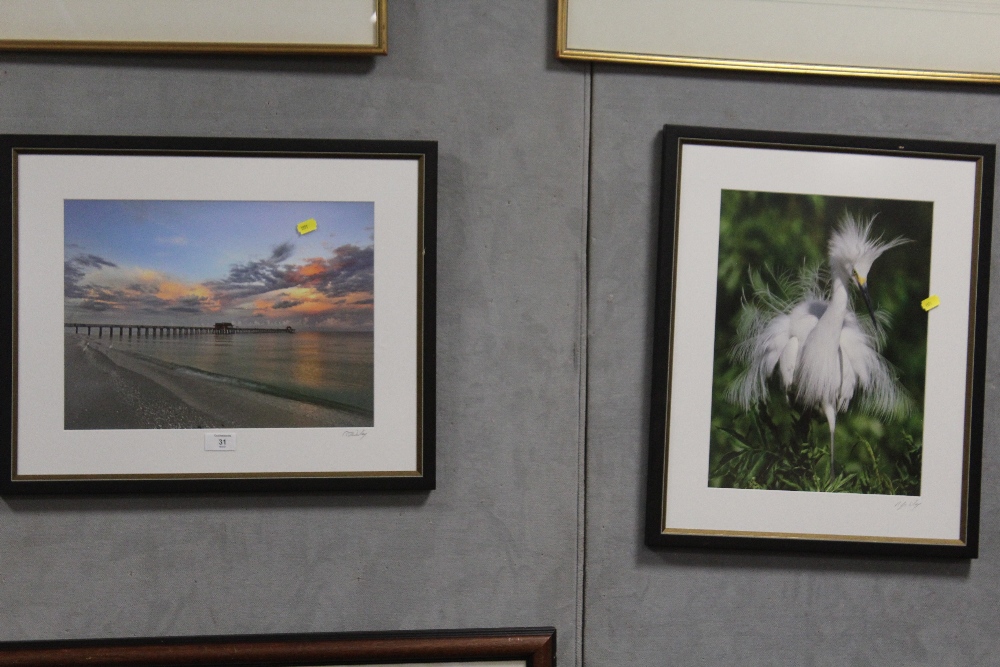 TWO MODERN FRAMED AND GLAZED PHOTOGRAPHS OF A SEASCAPE WITH PIER, AND A BIRD. BOTH SIGNED R J WILEY