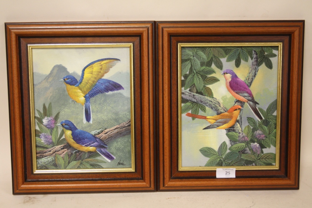 A PAIR OF FRAMED OILS ON BOARDS DEPICTING VIBRANTLY COLOURED BIRDS IN NATURAL SETTINGS ONE