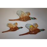 A SET OF THREE BESWICK WALL HANGING GRADUATED FLYING PHEASANTS