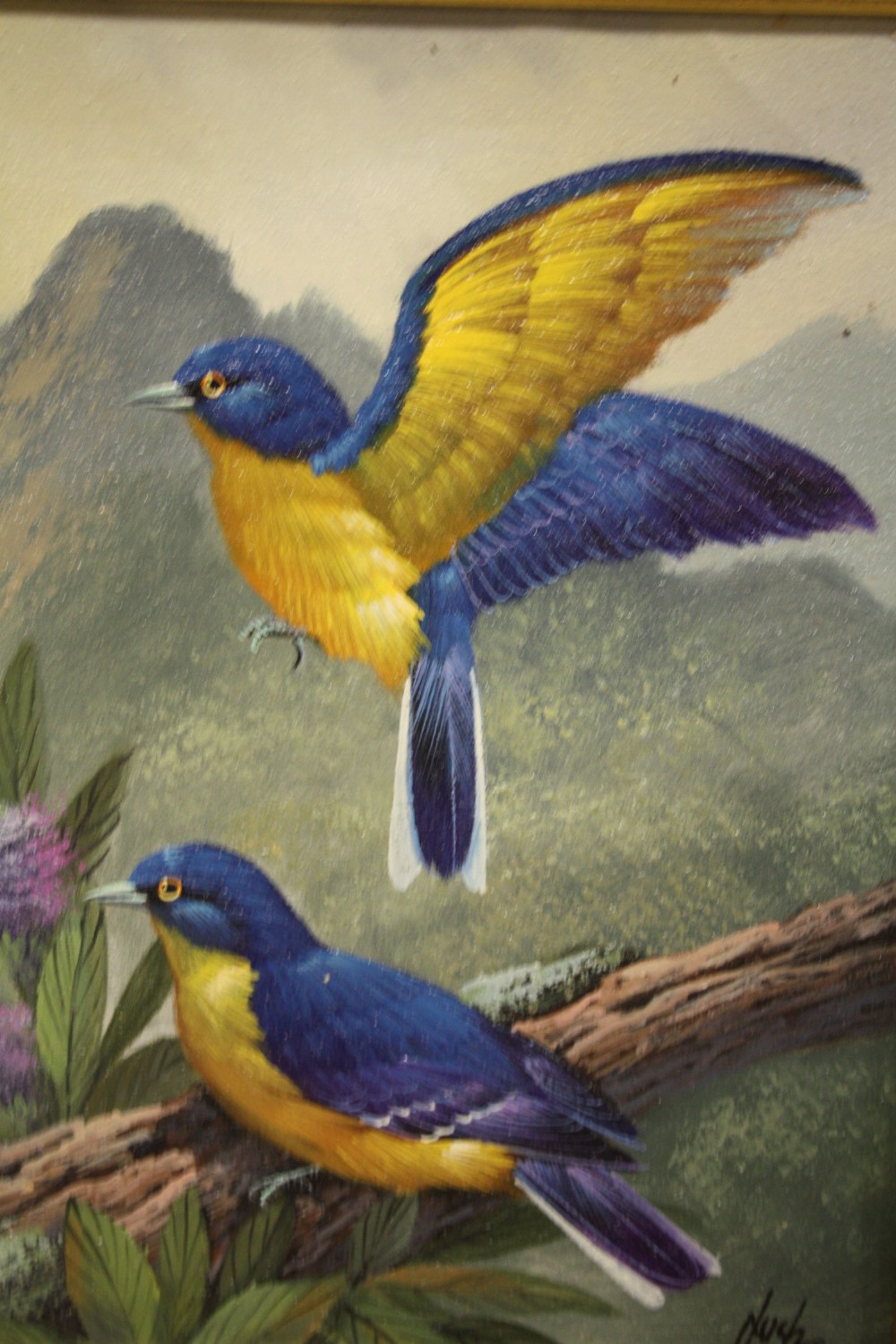 A PAIR OF FRAMED OILS ON BOARDS DEPICTING VIBRANTLY COLOURED BIRDS IN NATURAL SETTINGS ONE - Image 2 of 5