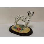 A ROYAL DOULTON UTILITY DOG COLLECTION DALMATION FIGURE ON WOODEN PLINTH