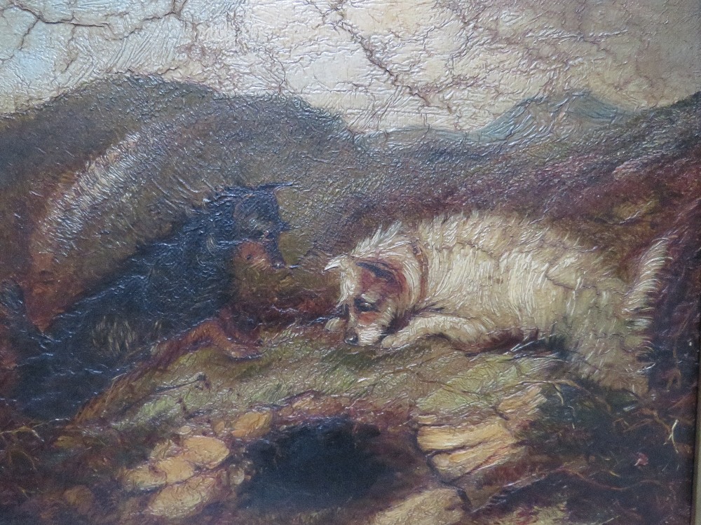 (XIX). British school, circle of ARMFIELD, stormy moorland landscape with terriers at a rabbit hole, - Image 3 of 7