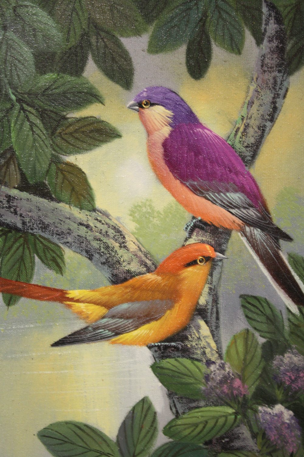A PAIR OF FRAMED OILS ON BOARDS DEPICTING VIBRANTLY COLOURED BIRDS IN NATURAL SETTINGS ONE - Image 3 of 5