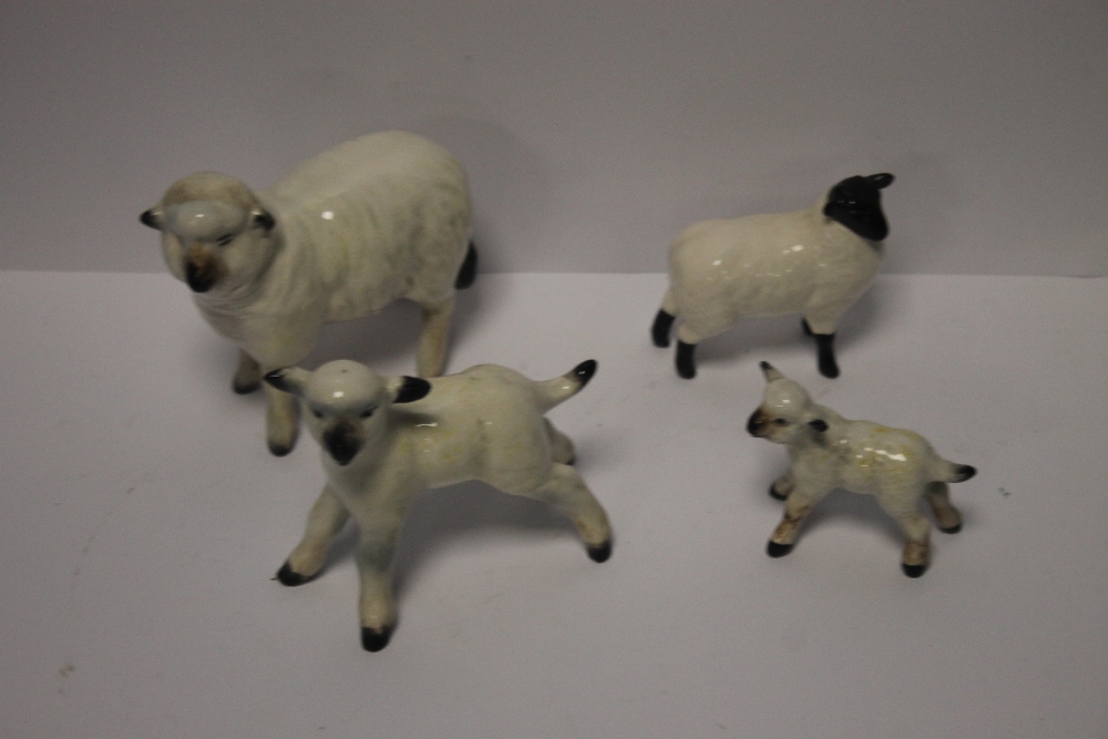 A BESWICK SHEEP, a Beswick ram and two lambs (4)