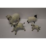 A BESWICK SHEEP, a Beswick ram and two lambs (4)