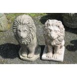 TWO SEATED LION STONE GARDEN ORNAMENTS