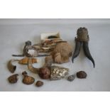 A COLLECTION OF NATURAL HISTORY INTEREST, to include fungi, a small pair of horns etc