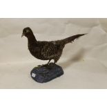 A TAXIDERMY GROUSE