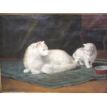 A GILT FRAMED OIL ON CANVAS DEPICTING A CAT AND KITTEN SIGNED LOWER RIGHT BUT INDISTINCT 56.5 X 76.5