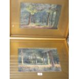 A PAIR OF GILT FRAMED WATERCOLOUR LANDSCAPES SIGNED 'E DEARDEN' 25 X 36 CM